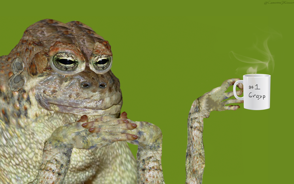 Realistic Groyper